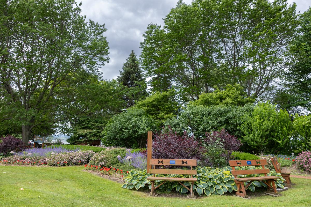Garden Rental – 11